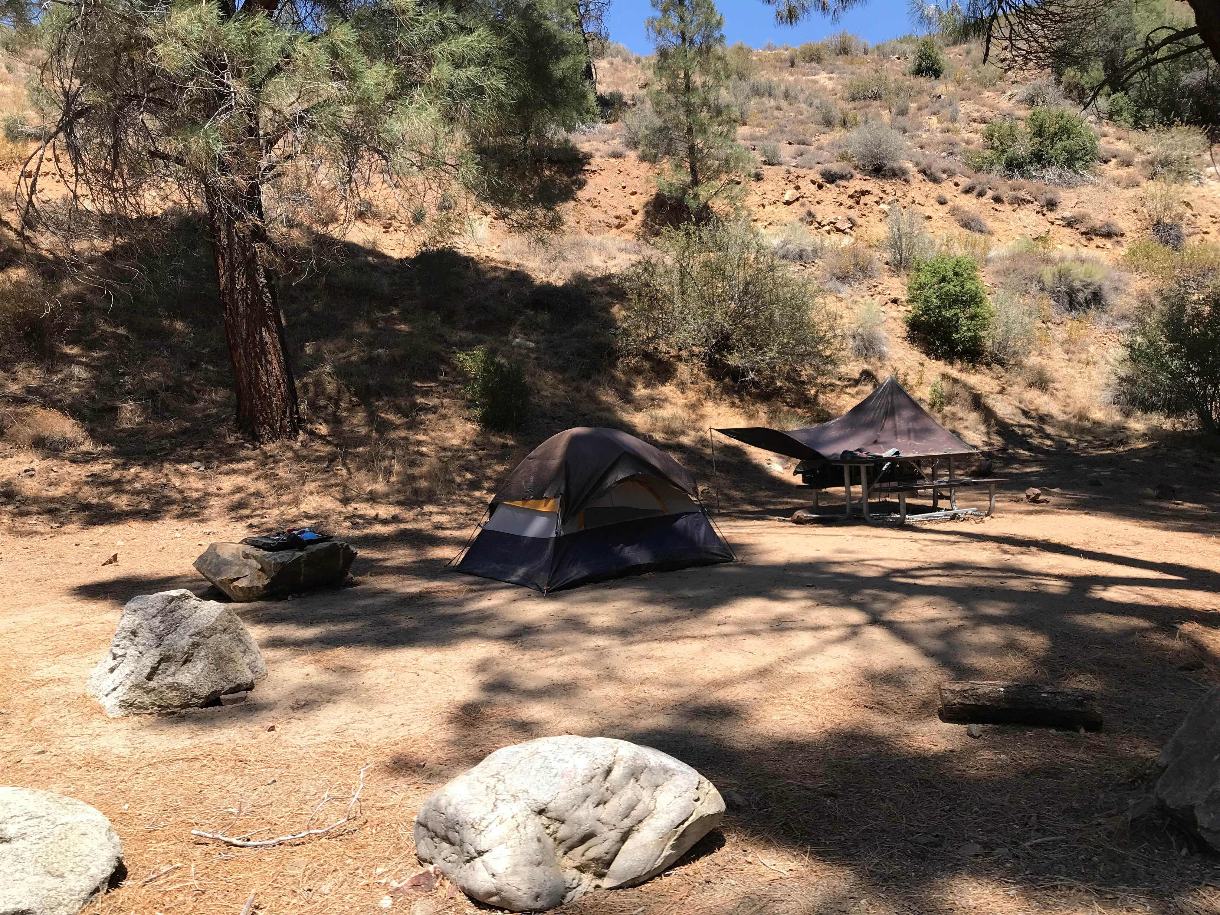 Jessica P.'s photo of tent camping at Limestone Campground near Pixley, CA