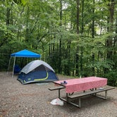 Review photo of COE W Kerr Scott Reservoir Bandits Roost Campground by Chad K., August 22, 2020