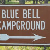 Review photo of Blue Bell Campground — Custer State Park by Annell N., August 22, 2020