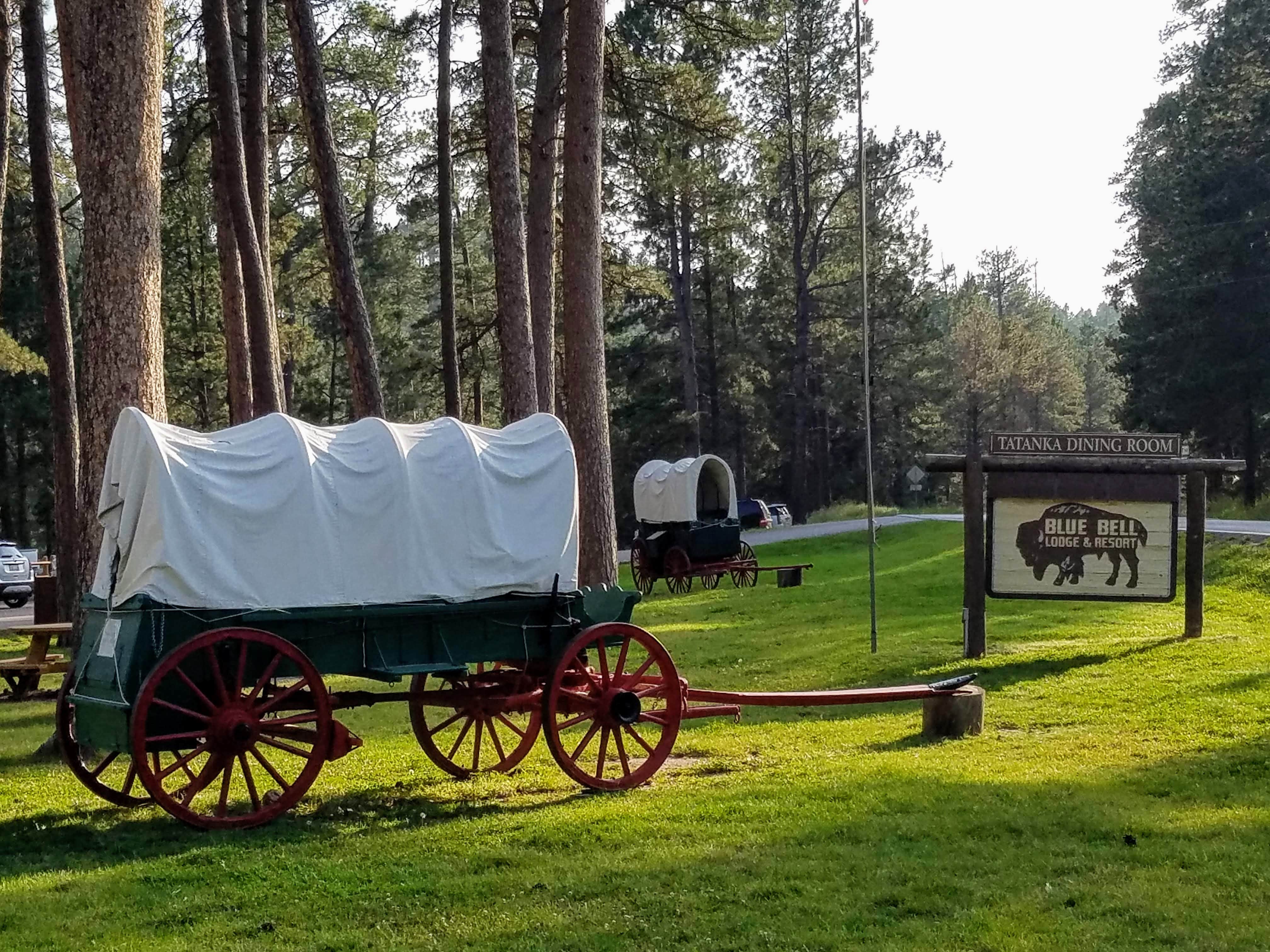Annell N.'s photo of camping with a horse at Blue Bell Campground — Custer State Park near Newcastle, WY