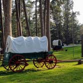 Review photo of Blue Bell Campground — Custer State Park by Annell N., August 22, 2020