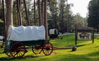 Annell N.'s photo of camping with a horse at Blue Bell Campground — Custer State Park near Hill City, SD