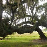 Review photo of Brazos Bend State Park Campground by Myra P., May 6, 2018