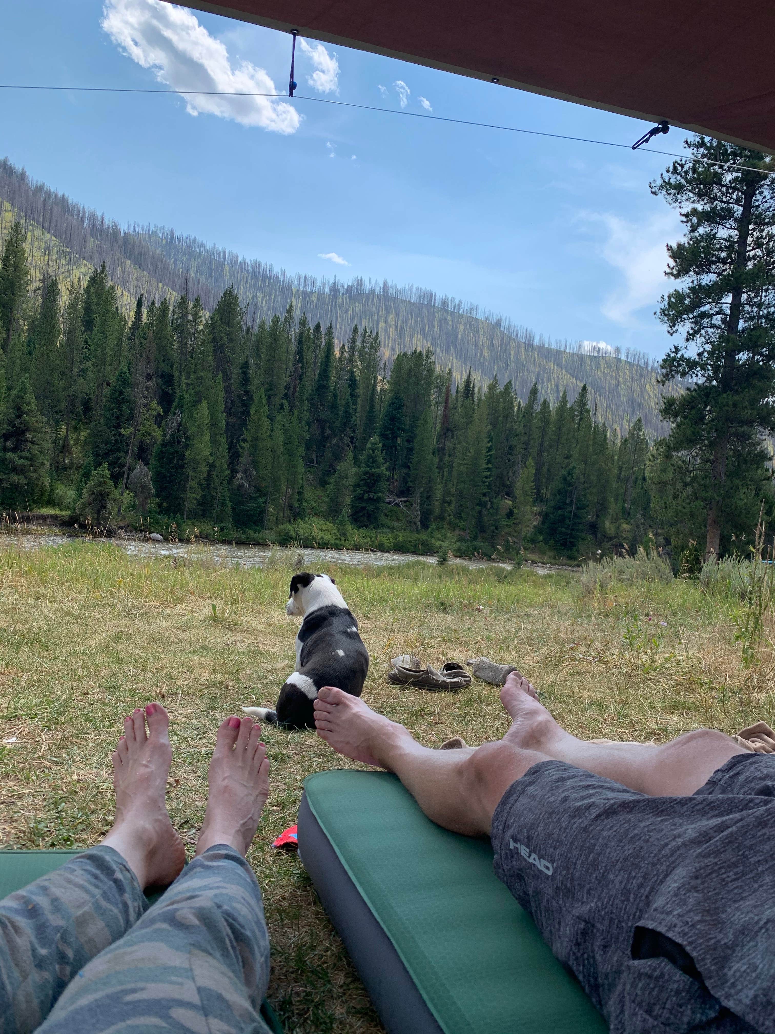 Vessa N.'s photo of camping with pets at Granite Creek Campground near Cora, WY