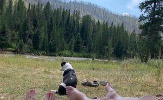 Vessa N.'s photo of camping with pets at Granite Creek Campground near Cora, WY