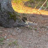 Review photo of New Discovery State Park Campground by Rick S., August 22, 2020