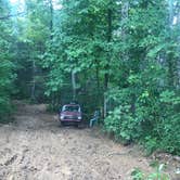 Review photo of Prentice Cooper State Forest Dispersed by Benjamin C., August 22, 2020