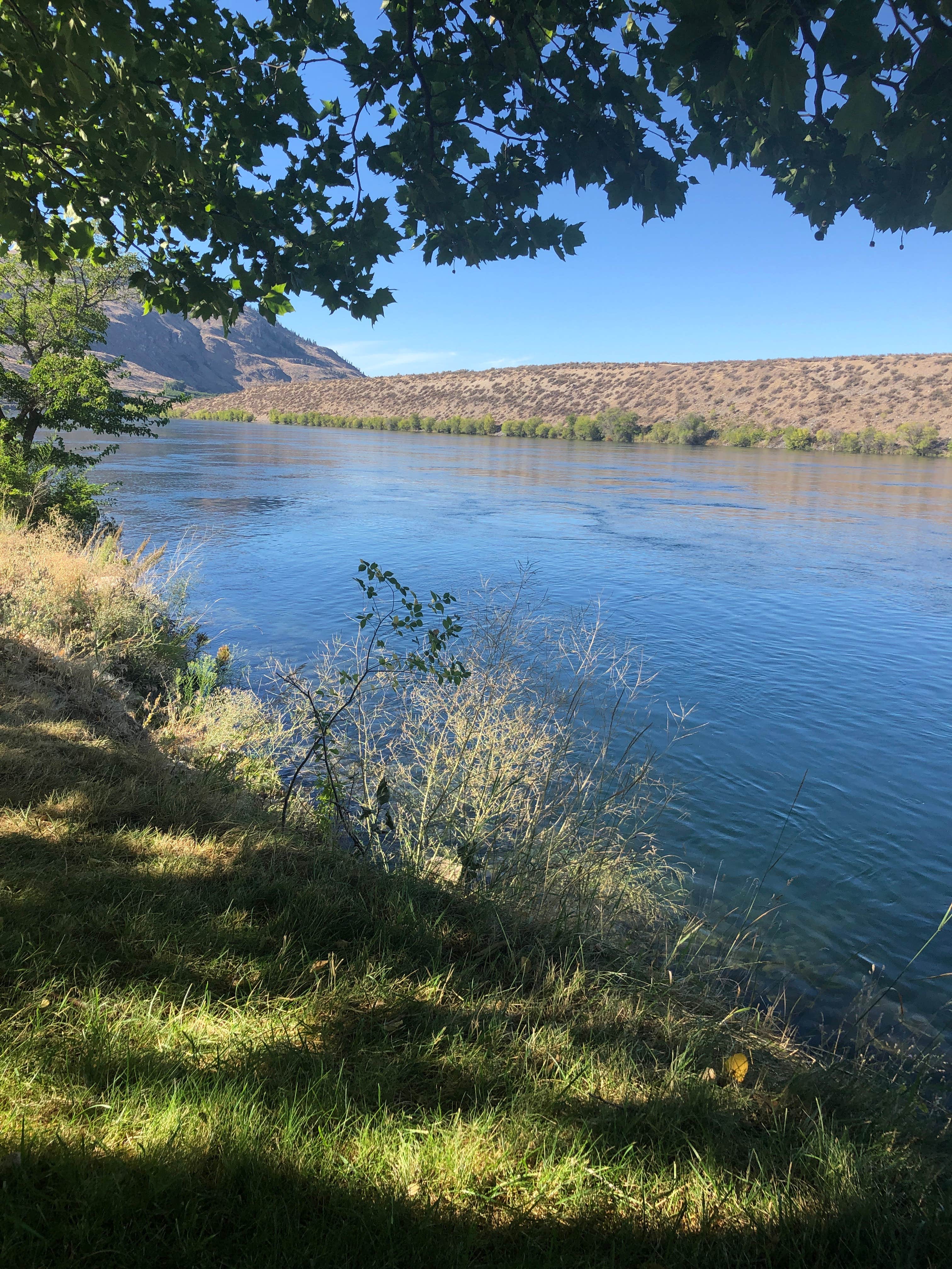 Camper-submitted photo at Marina RV Park near Hartline, WA