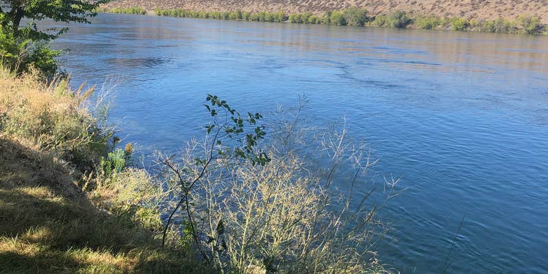 Camper submitted image from Marina RV Park