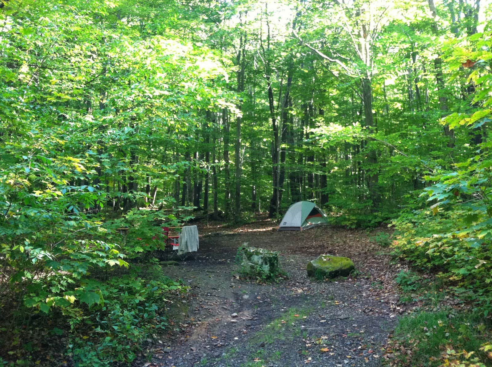 Camper-submitted photo at Kooser State Park Campground near Johnstown, PA