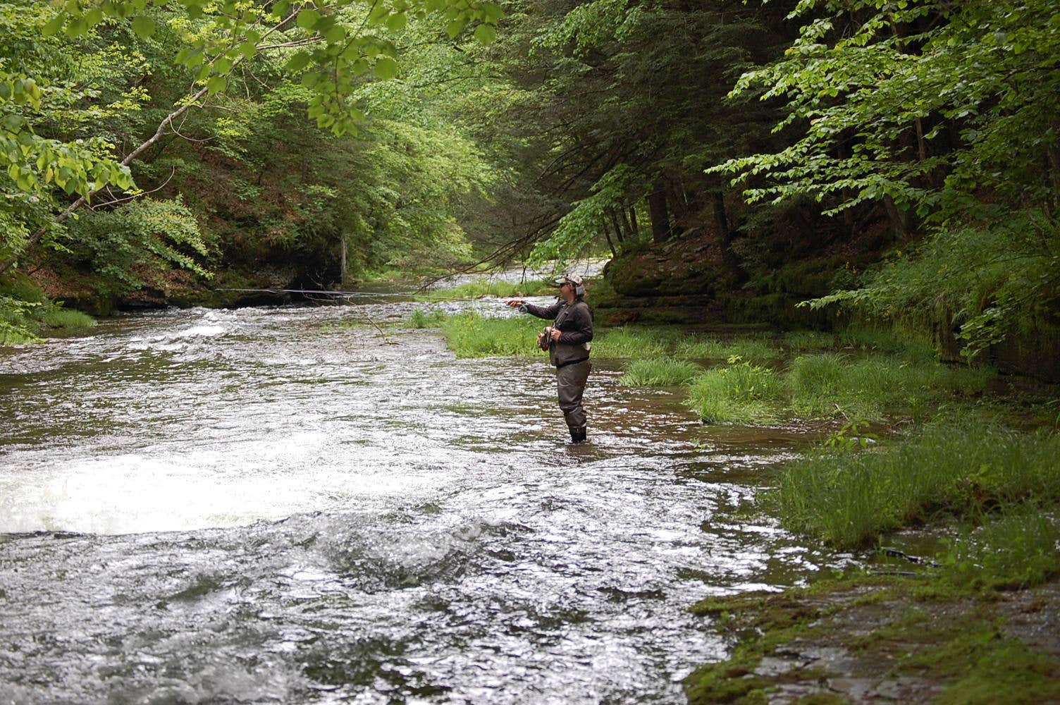 Camper-submitted photo at Pettecote Junction Campground near Cammal, PA