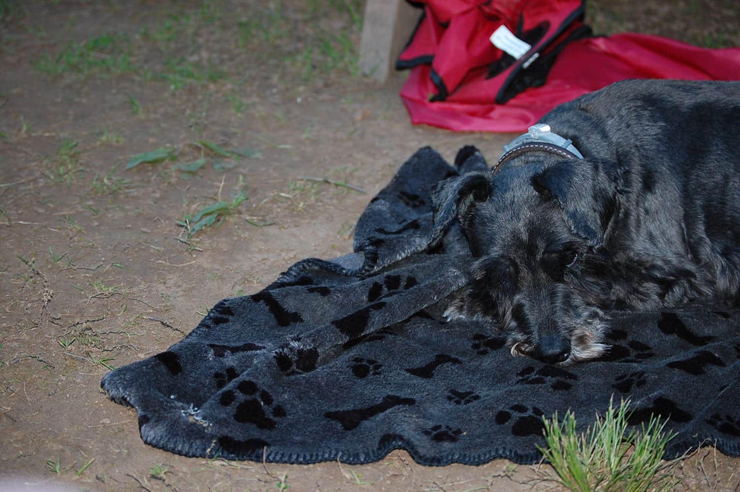 Camper-submitted photo at Pettecote Junction Campground near Cammal, PA