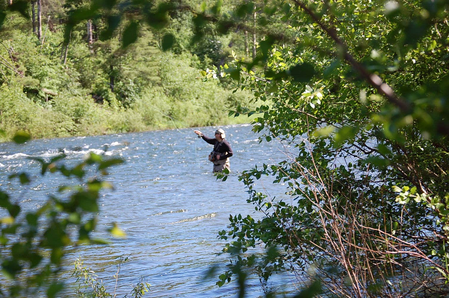 Camper submitted image from Pettecote Junction Campground - 3