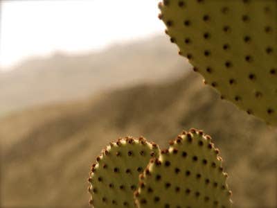 Camper submitted image from Upper & Lower Madera Campground — Big Bend Ranch State Park - 2