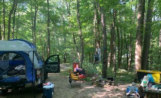 Camping near Yough Lake Campground at Tub Run: Scarlett Knob Campground, Ohiopyle, Pennsylvania