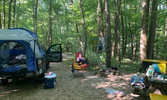 Camping near Scottyland Camping Resort: Scarlett Knob Campground, Ohiopyle, Pennsylvania