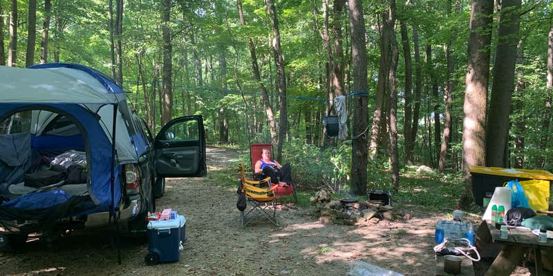 Camper submitted image from Scarlett Knob Campground