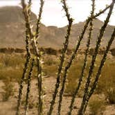 Review photo of Upper & Lower Madera Campground — Big Bend Ranch State Park by Troy W., May 6, 2018