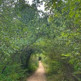 Review photo of A.W. Marion State Park Campground by Andrea F., August 23, 2020