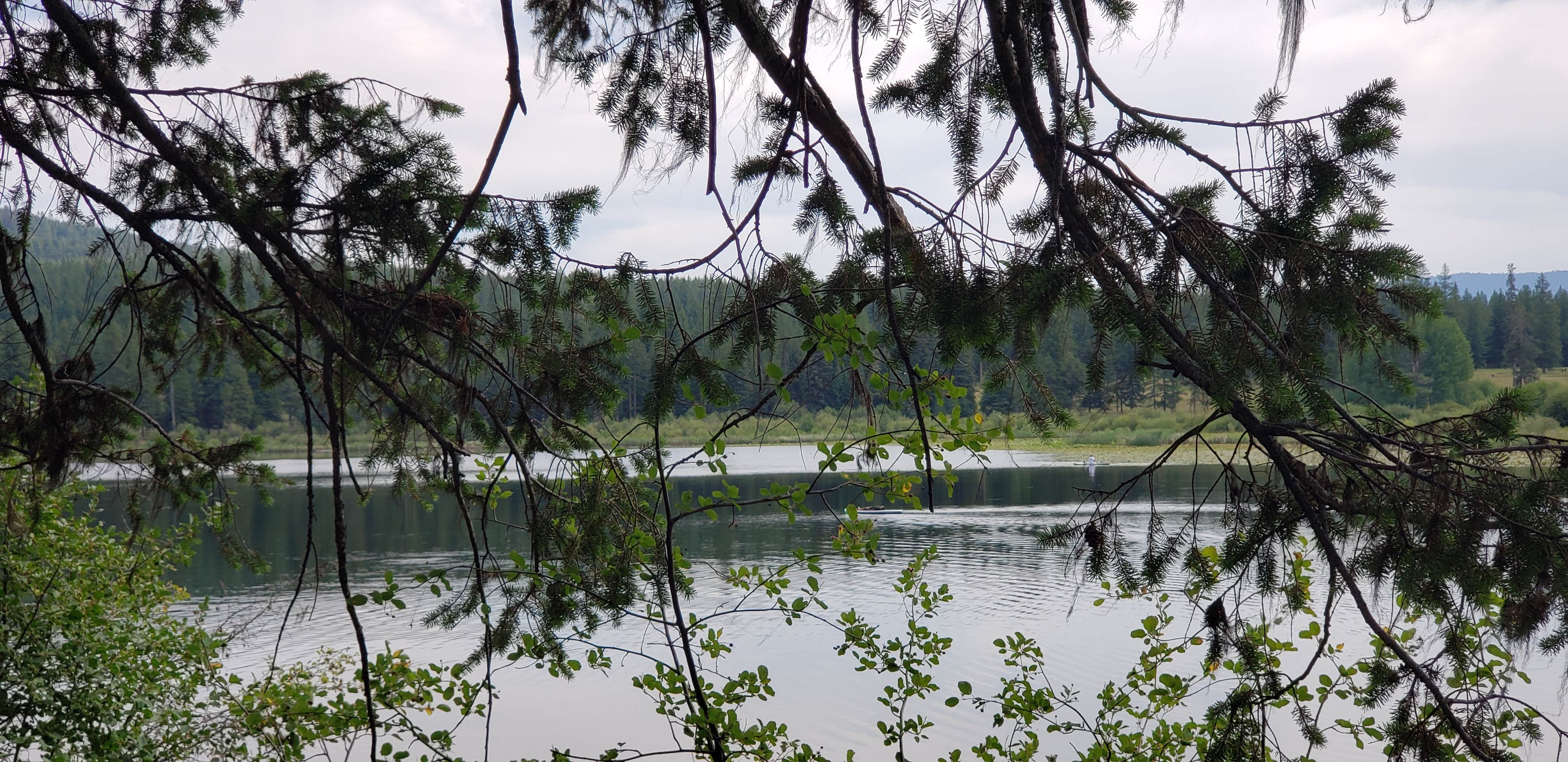 Camping near Star Meadows Guard Station: Island Lake, Blue Springs Lake, Montana