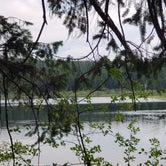 Review photo of Island Lake by Andrea D., August 23, 2020