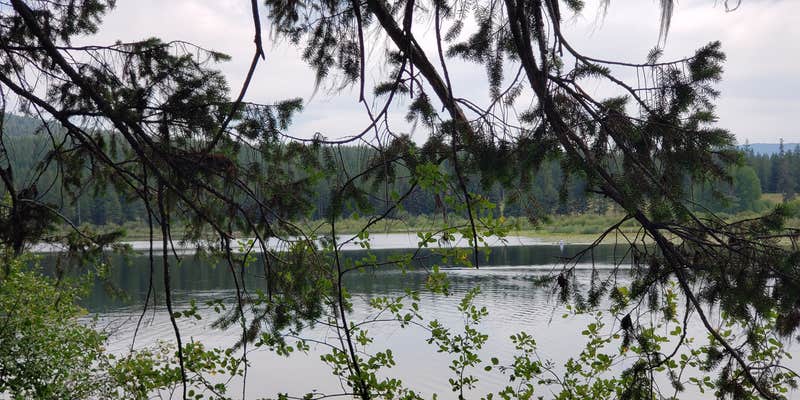 Camper submitted image from Island Lake