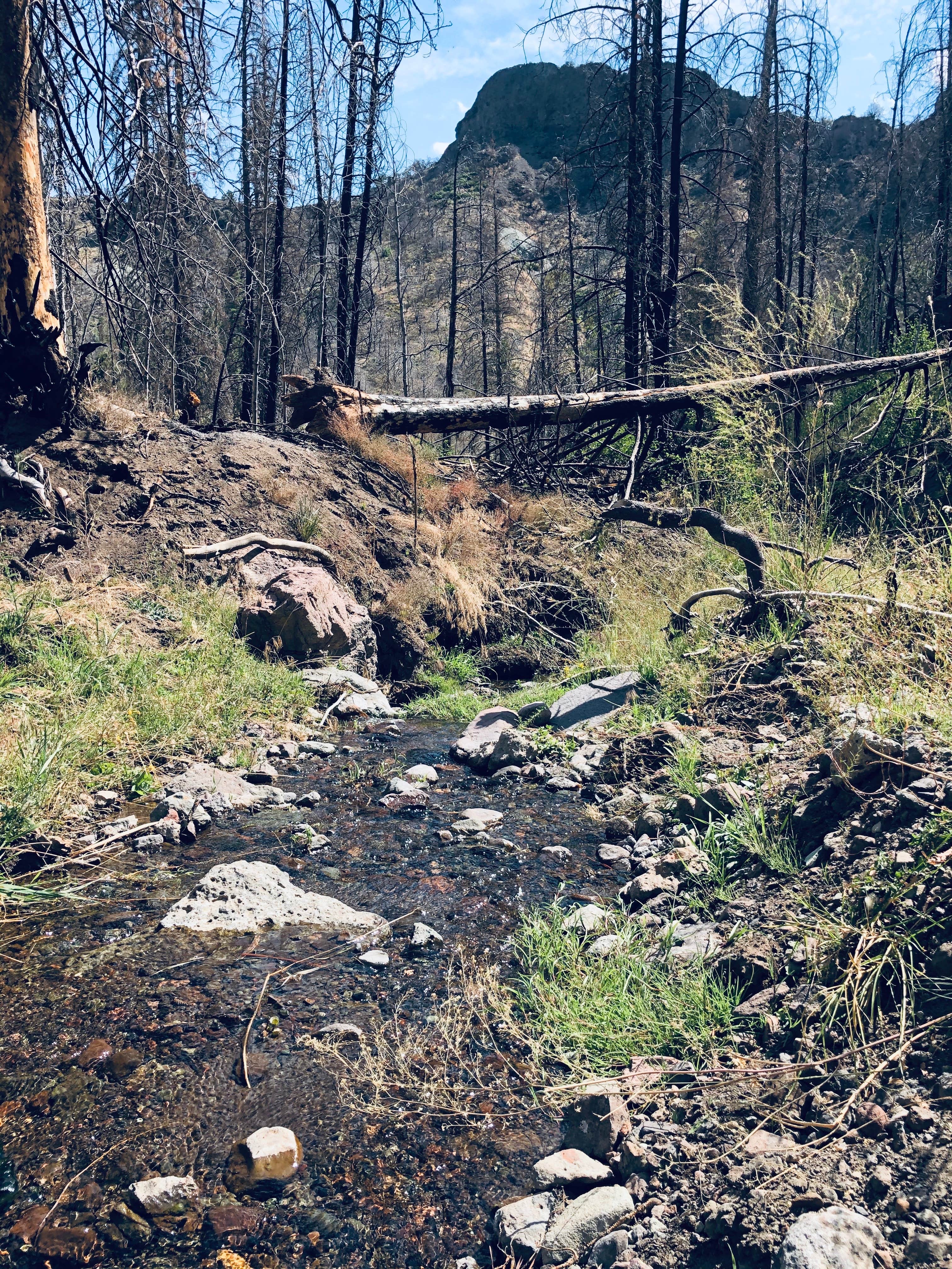 Camper-submitted photo at Bear Valley RV and Campground near Dixie National Forest