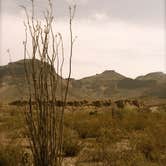 Review photo of Upper & Lower Madera Campground — Big Bend Ranch State Park by Troy W., May 6, 2018