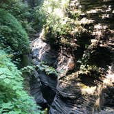 Review photo of Watkins Glen State Park Campground by Hillary E., August 23, 2020