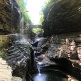 Review photo of Watkins Glen State Park Campground by Hillary E., August 23, 2020