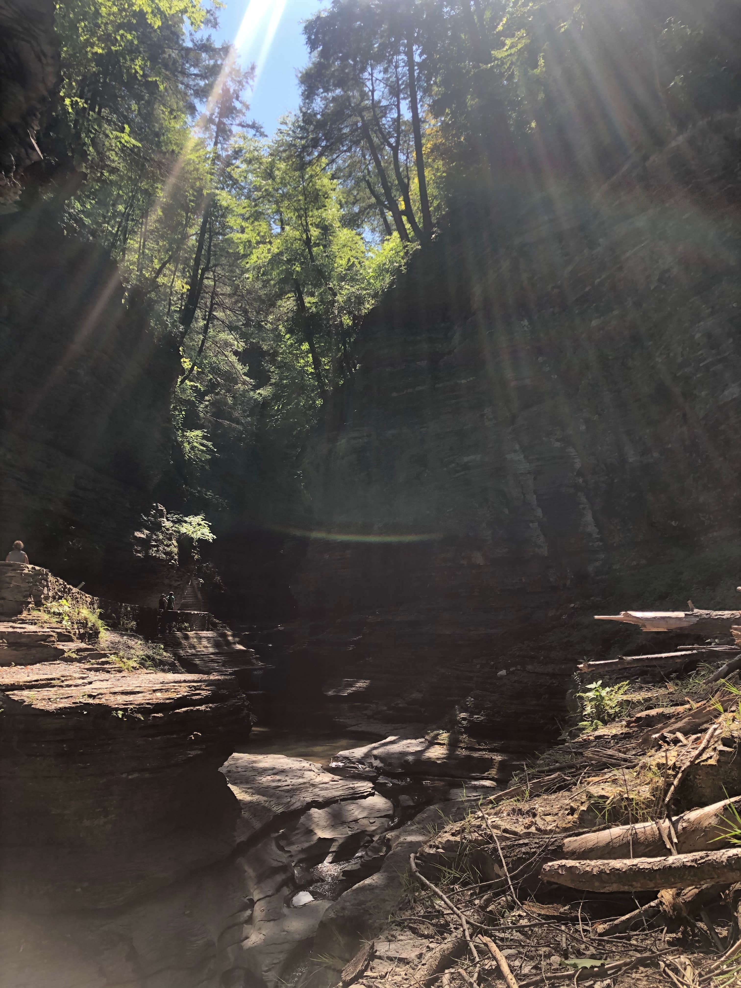 Camper-submitted photo at Watkins Glen State Park Campground in New York
