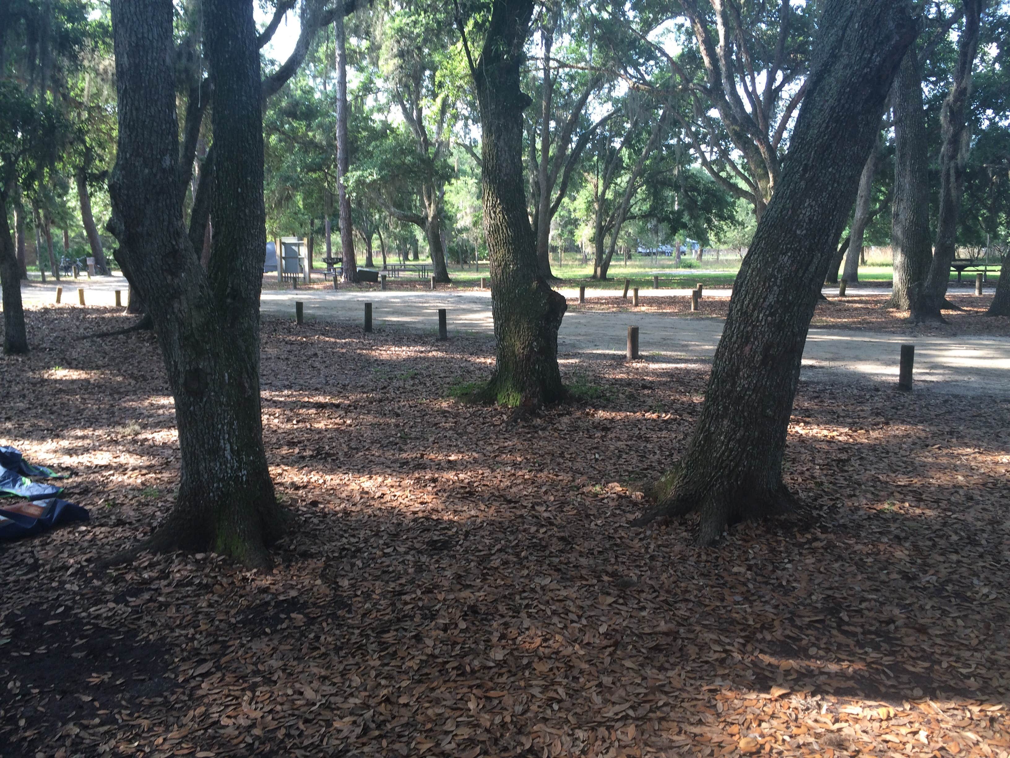 Camper-submitted photo at Moss Park Campground near Winter Park, FL