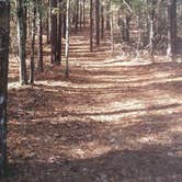 Review photo of Towns Bluff Park by Angela B., May 6, 2018