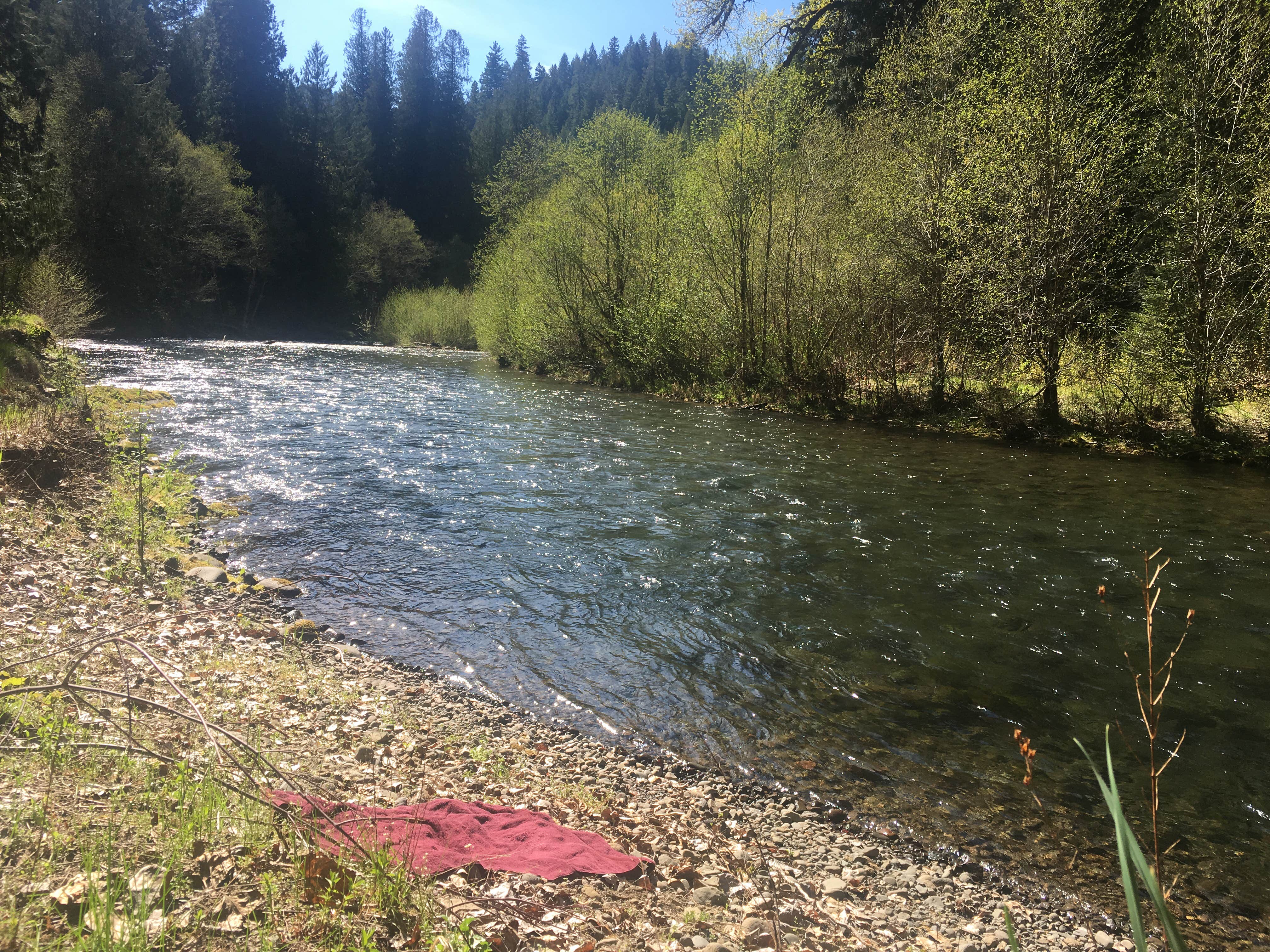 Camper submitted image from Toketee Lake Campground — Umpqua National Forest - 2