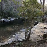 Review photo of Davidson River Campground by Swanson & Lisa H., May 6, 2018