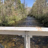 Review photo of Davidson River Campground by Swanson & Lisa H., May 6, 2018