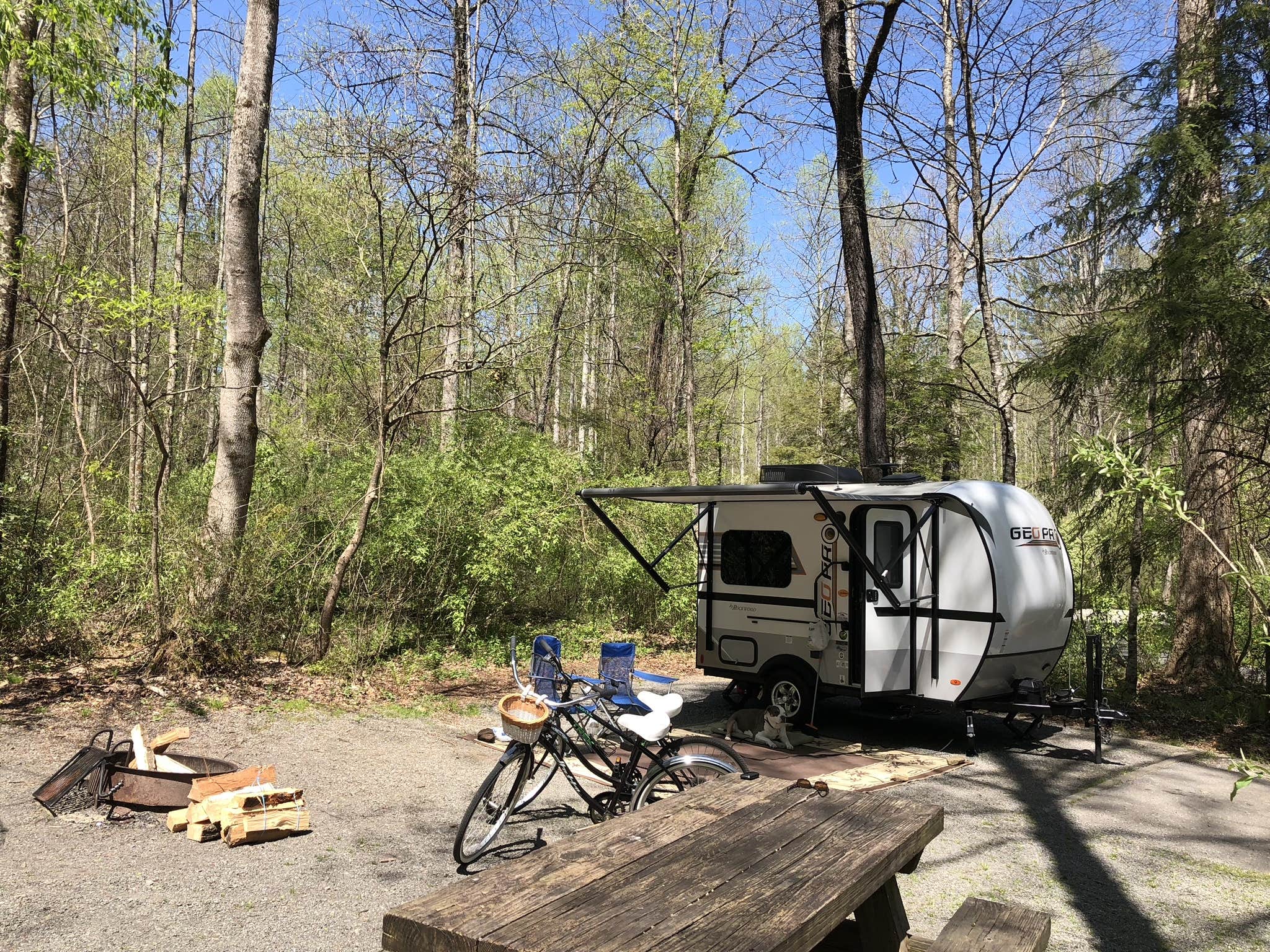 Swanson & Lisa H.'s photo at Davidson River Campground near Pisgah Forest, NC