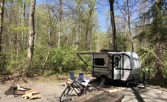 Swanson & Lisa H.'s photo at Davidson River Campground near Pisgah Forest, NC