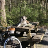 Review photo of Davidson River Campground by Swanson & Lisa H., May 6, 2018