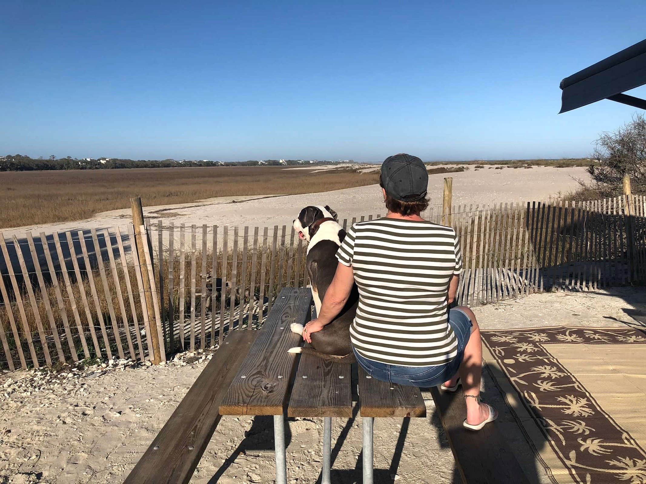 Camper submitted image from Edisto Beach State Park Campground - 4