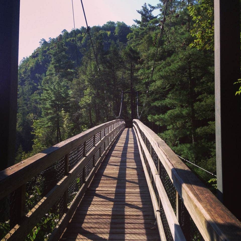 Camper submitted image from Tallulah Gorge State Park Campground - 3