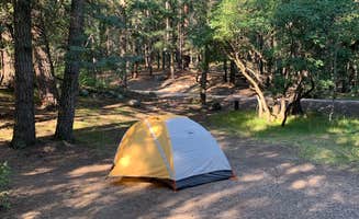 Ryan H.'s photo at East Fork Campground near Chromo, CO