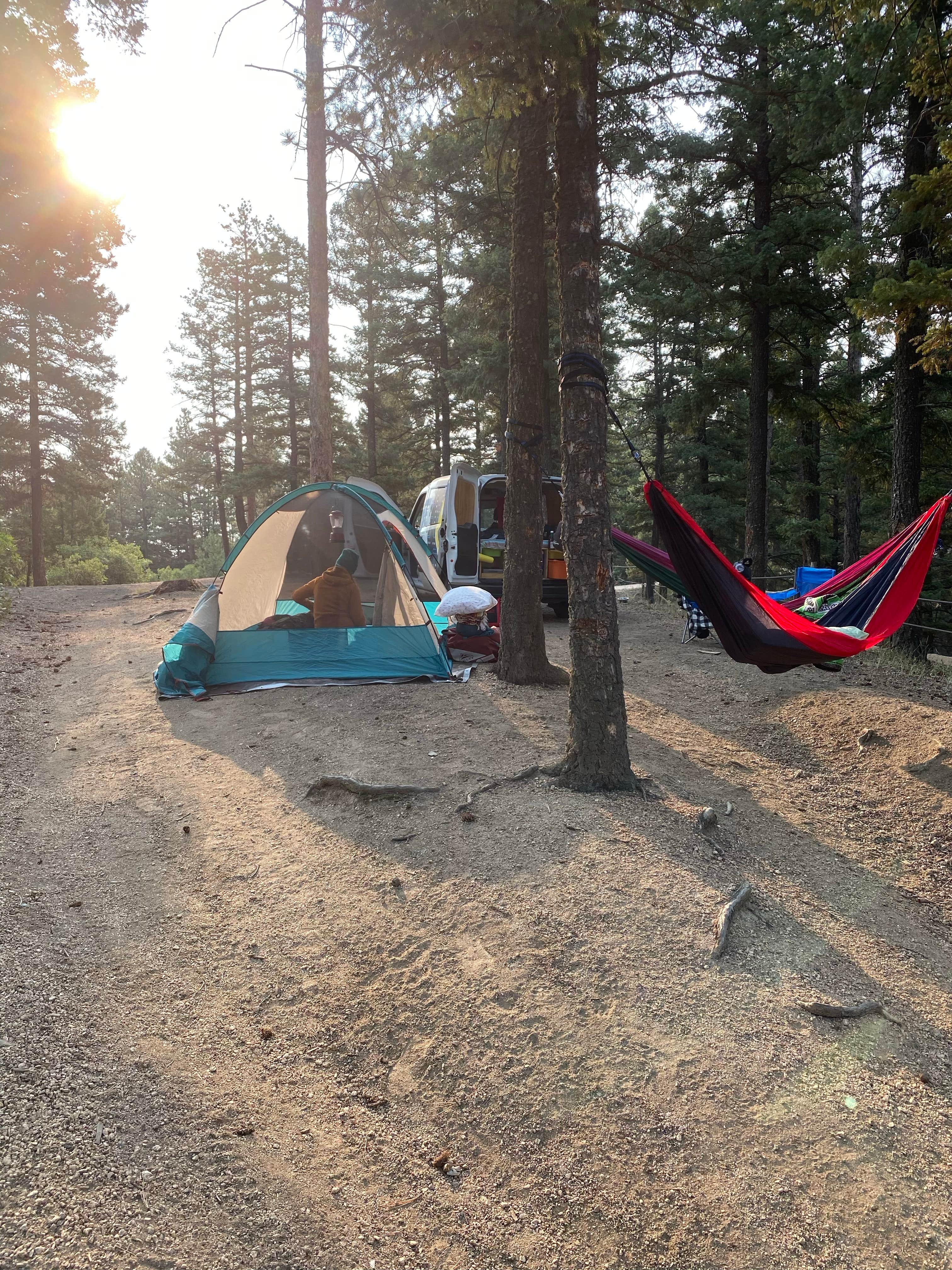 Camper submitted image from Rampart Range Recreation Area - 5