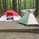 Review photo of Cataloochee Campground — Great Smoky Mountains National Park by Danielle G., May 6, 2018
