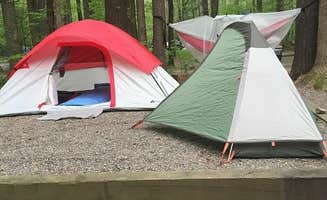 Danielle G.'s photo at Cataloochee Campground — Great Smoky Mountains National Park near Maggie Valley, NC