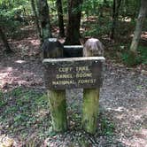 Review photo of Koomer Ridge Campground — Daniel Boone National Forest by Anne D., August 23, 2020