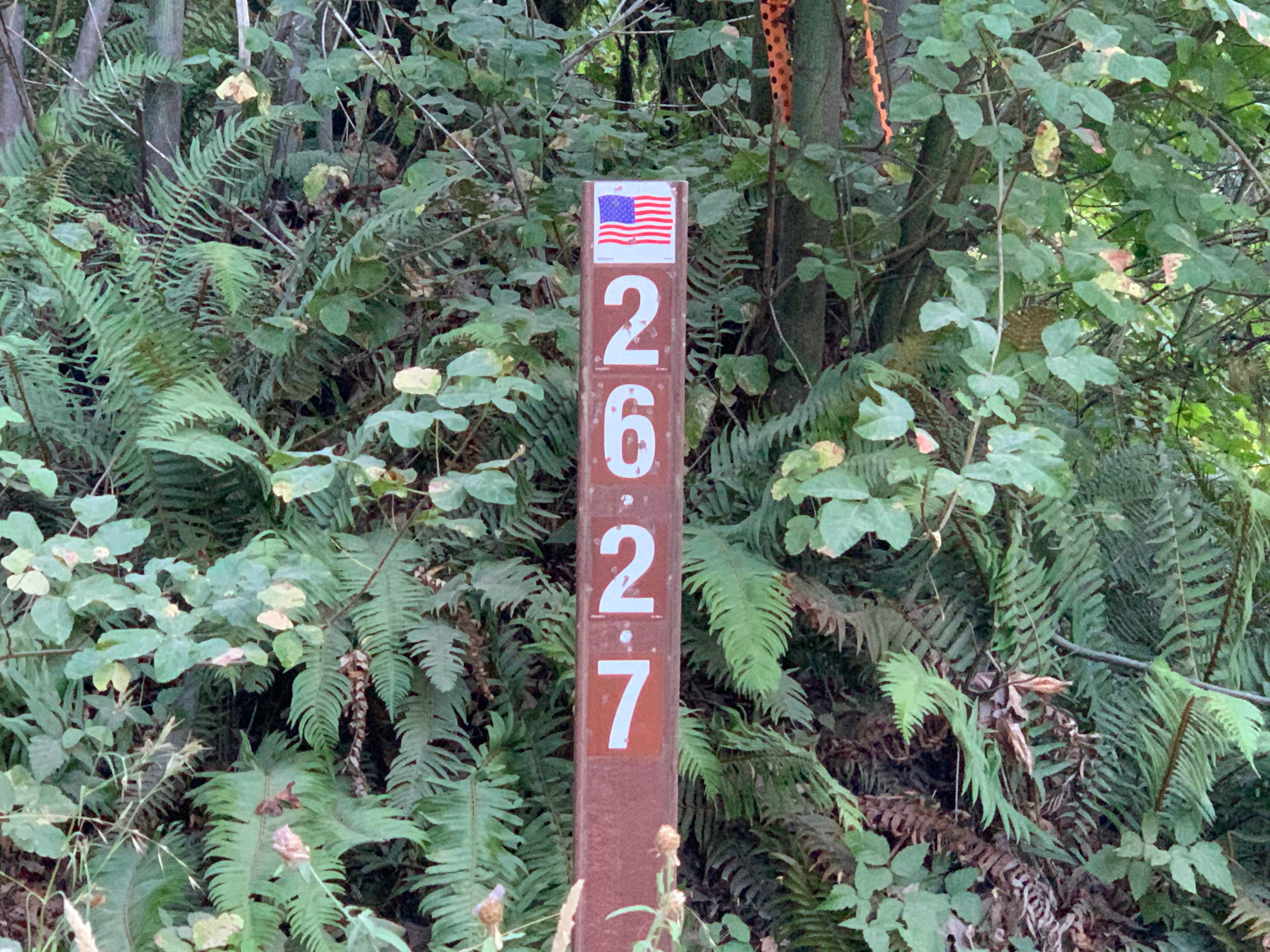 Camper-submitted photo at BLM North Umpqua Wild and Scenic River near Idleyld Park, OR