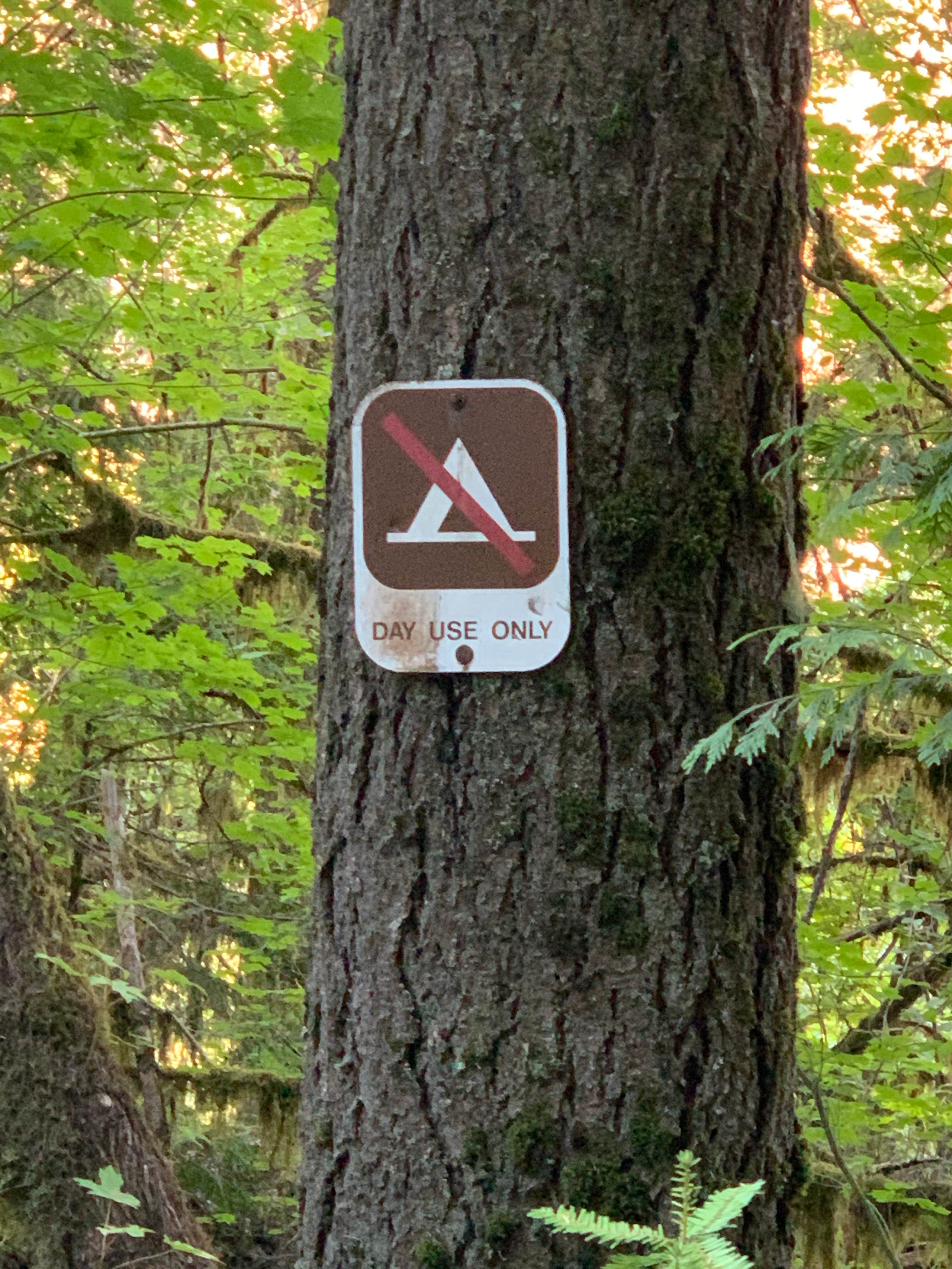 Camper-submitted photo at BLM North Umpqua Wild and Scenic River near Idleyld Park, OR