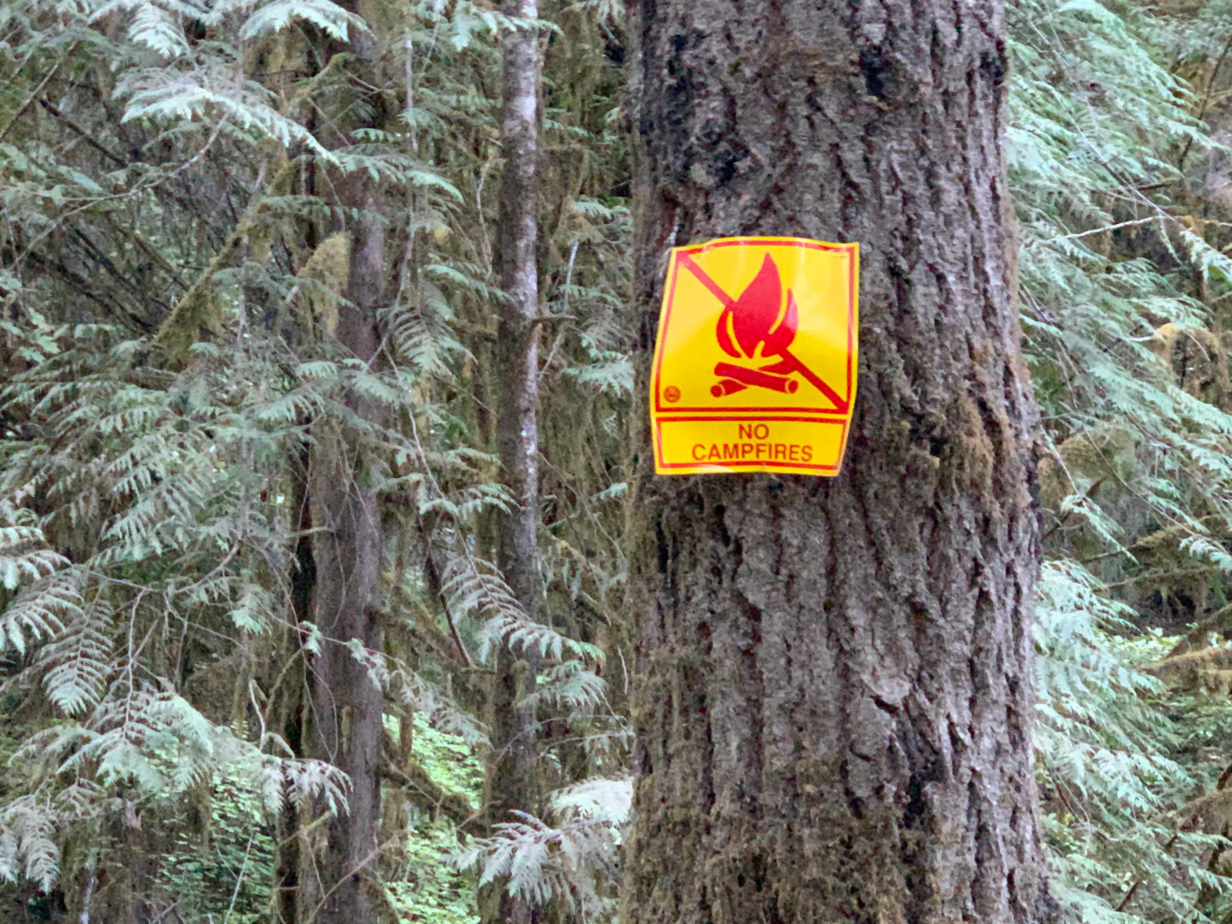 Camper-submitted photo at BLM North Umpqua Wild and Scenic River near Idleyld Park, OR
