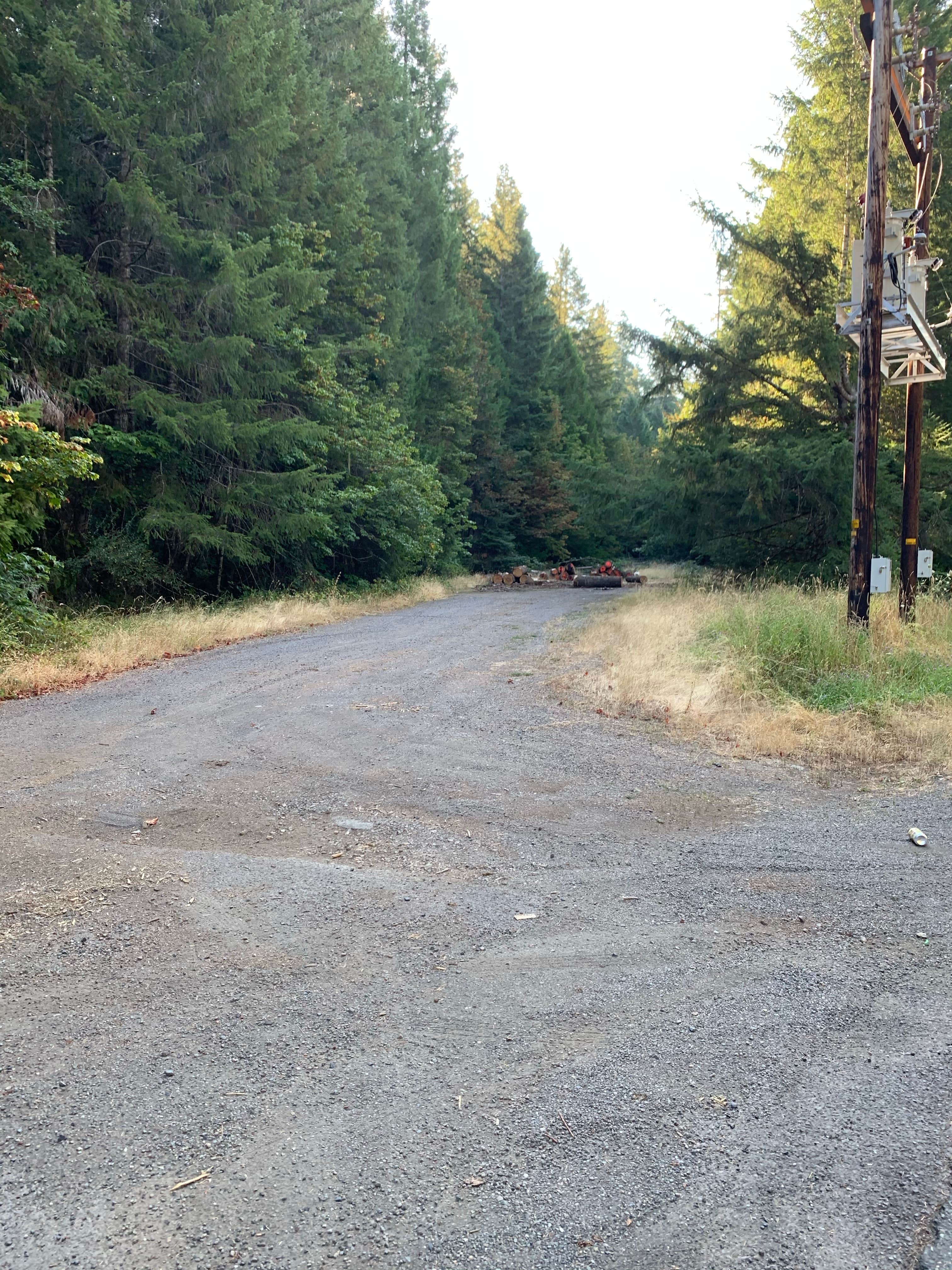 Camper submitted image from BLM North Umpqua Wild and Scenic River - 3